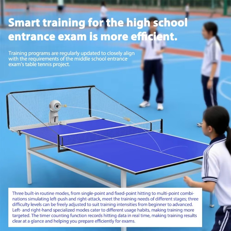 New Arrival Portable Indoor Ta - Table Tennis App recensie en prijs